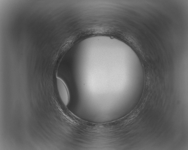 X0000054380257200507290904