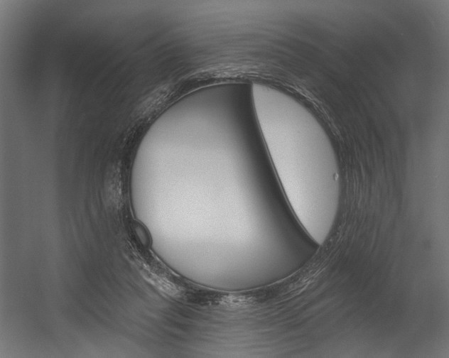 X0000054380261200507290904