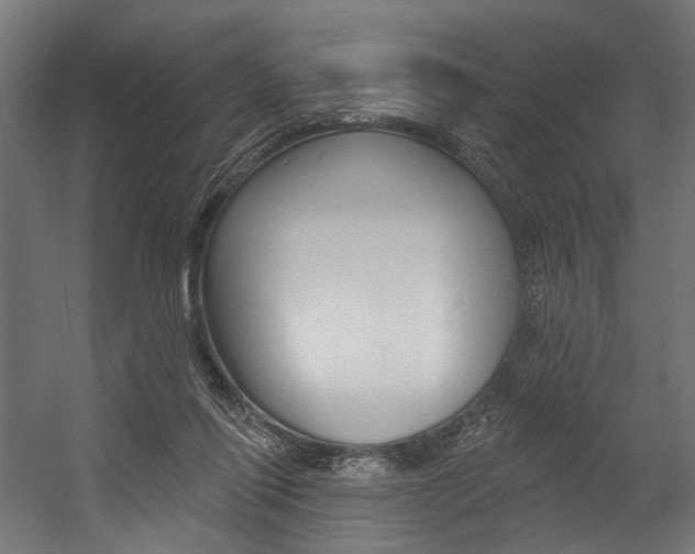 X0000054380262200507290904