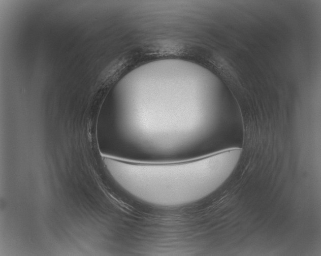 X0000054380264200507290904
