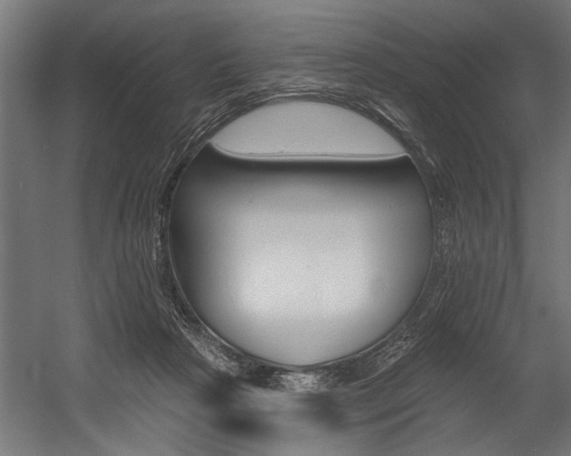 X0000054380265200507290904