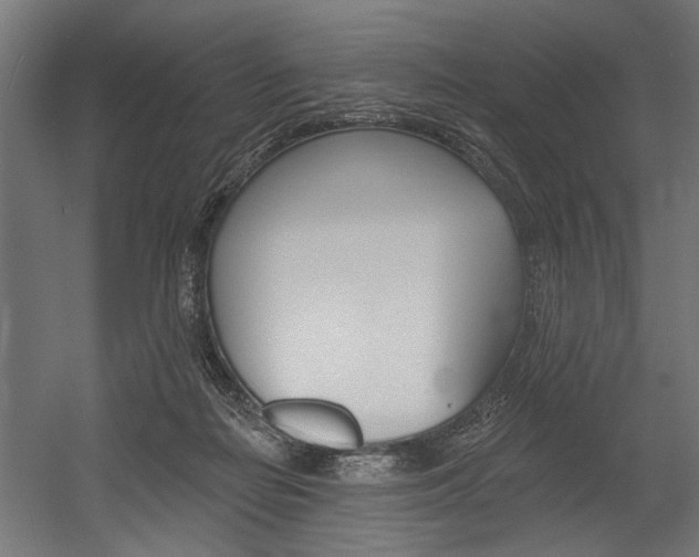 X0000054380266200507290904