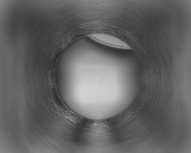 X0000054380270200507290904