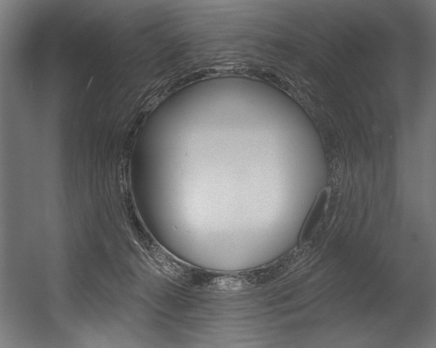 X0000054380272200507290905