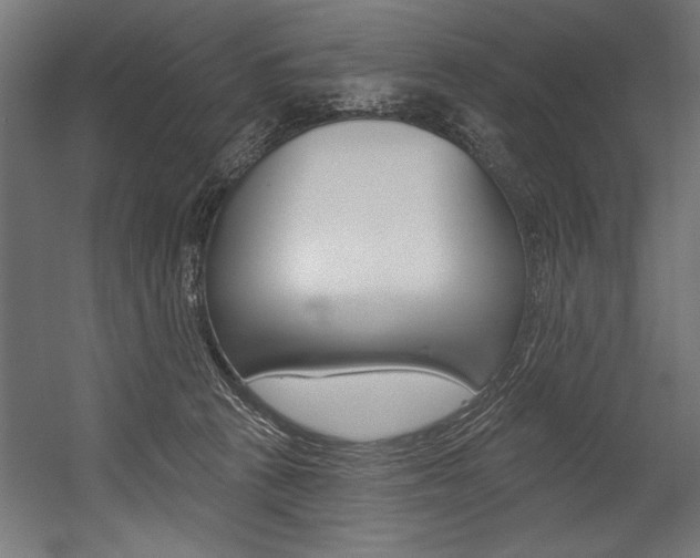 X0000054380273200507290905