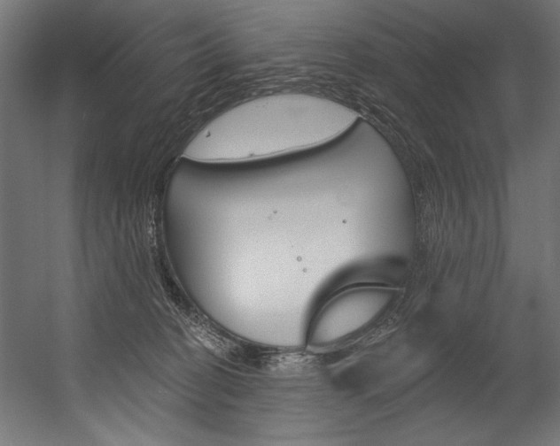 X0000054380274200507290905