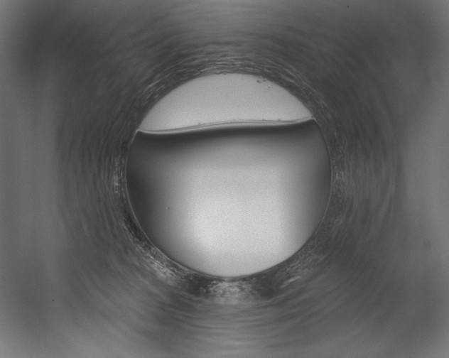 X0000054380277200507290905