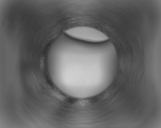X0000054380278200507290905
