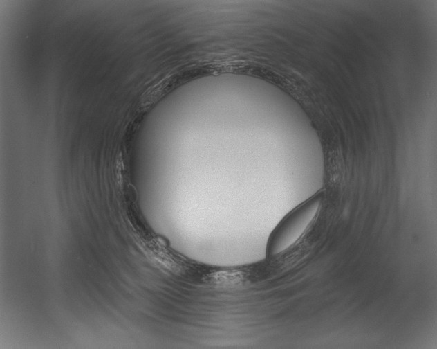 X0000054380279200507290905