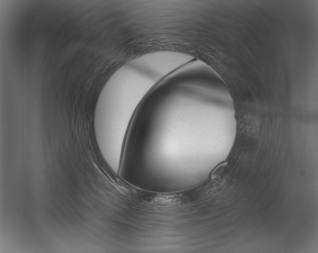 X0000054380280200507290905