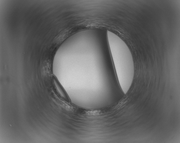 X0000054380281200507290905