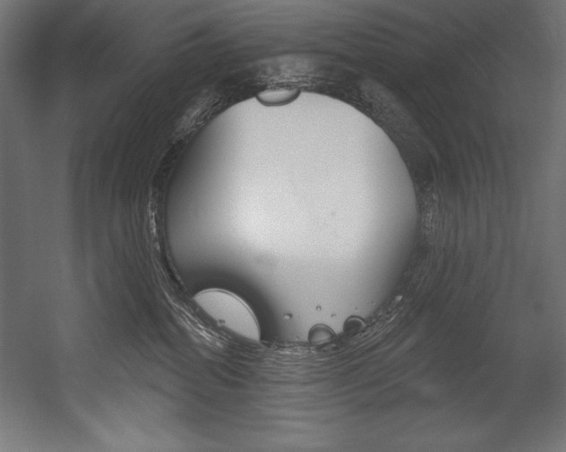 X0000054380282200507290905