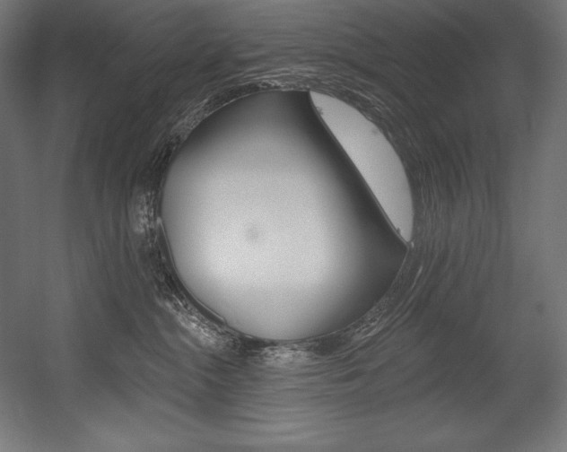 X0000054380284200507290905