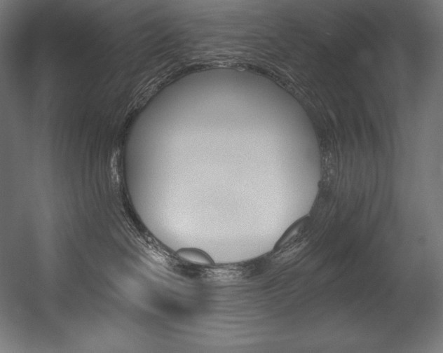 X0000054380286200507290905