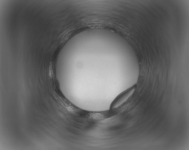 X0000054380287200507290905