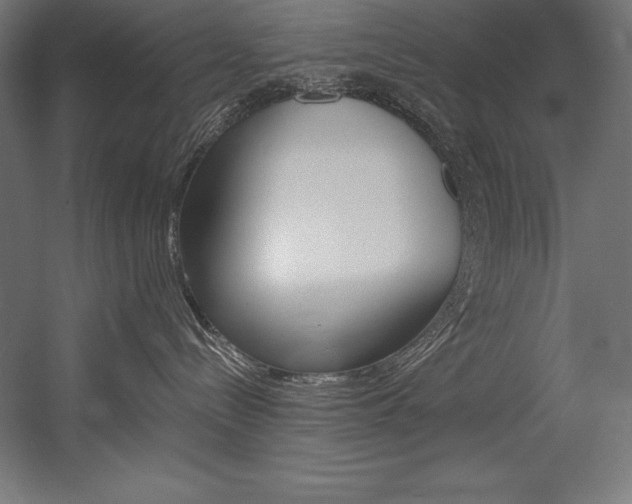 X0000054380288200507290905