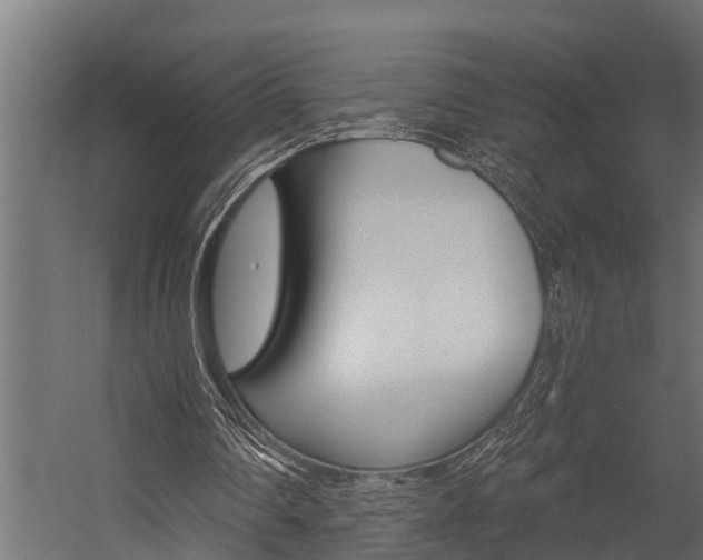 X0000054380290200507290904