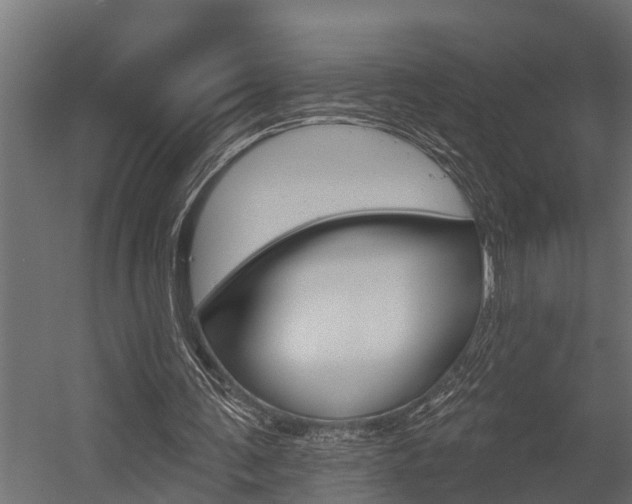 X0000054380291200507290904
