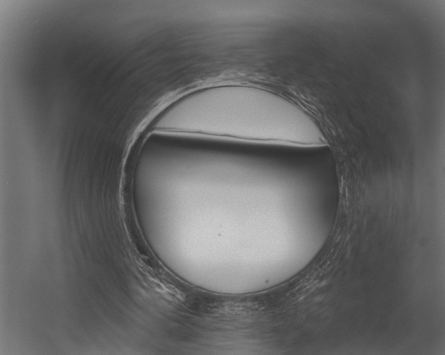 X0000054380292200507290904