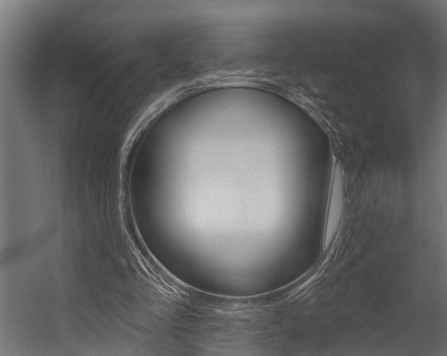 X0000054380293200507290904