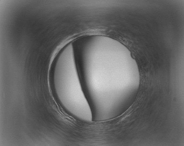 X0000054380294200507290904