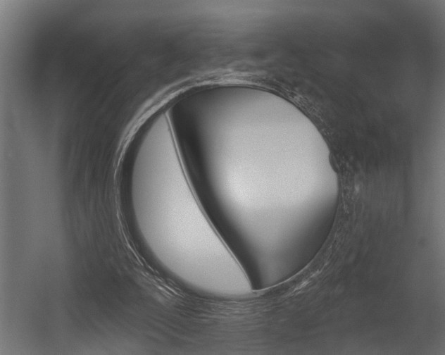 X0000054380295200507290904
