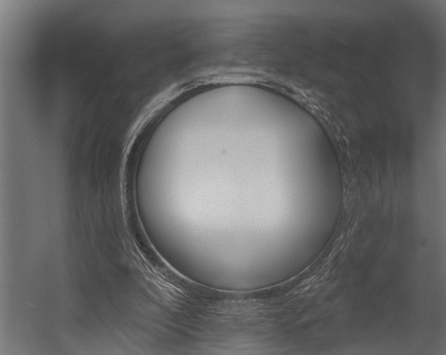 X0000054380296200507290904
