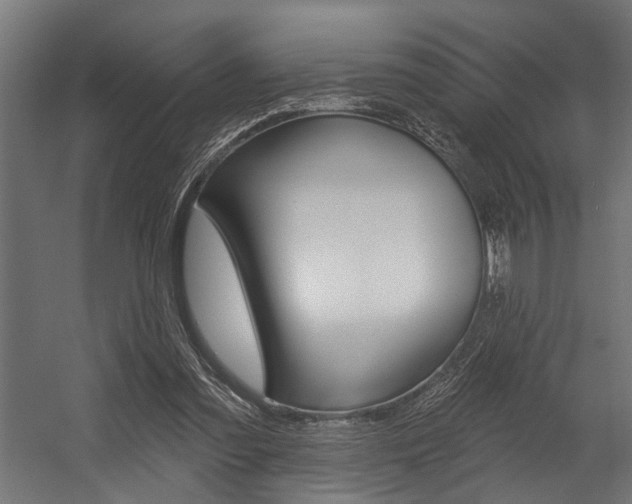 X0000054380301200507290904