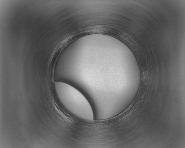 X0000054380302200507290904