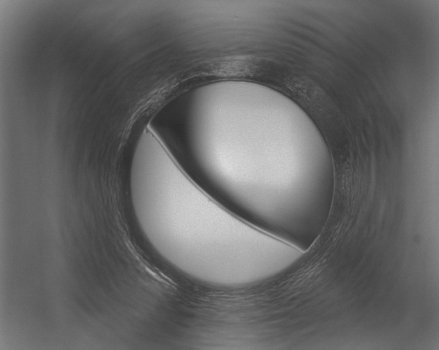 X0000054380303200507290904
