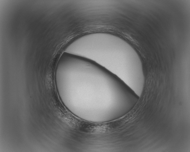 X0000054380306200507290904