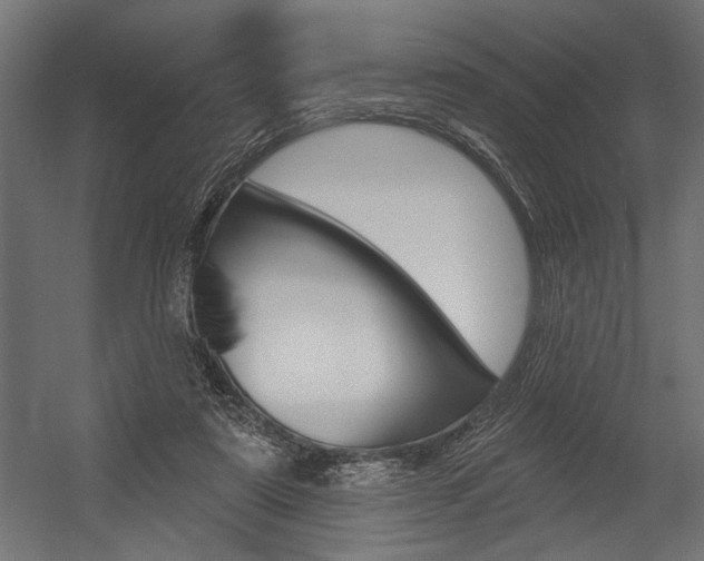 X0000054380307200507290904
