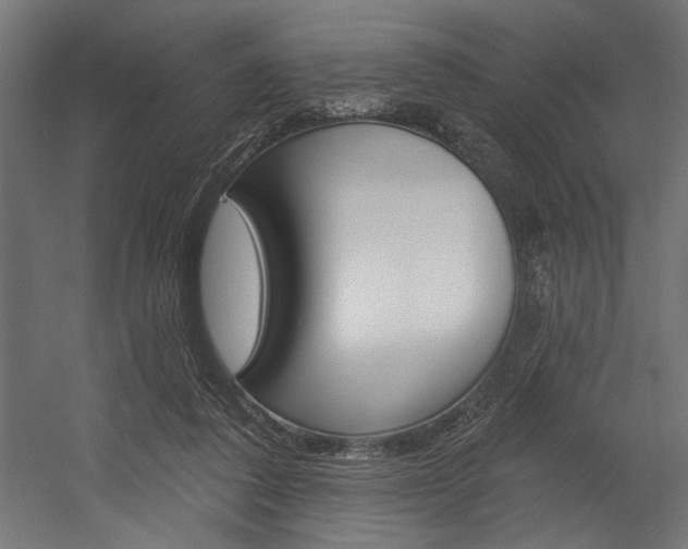 X0000054380308200507290904