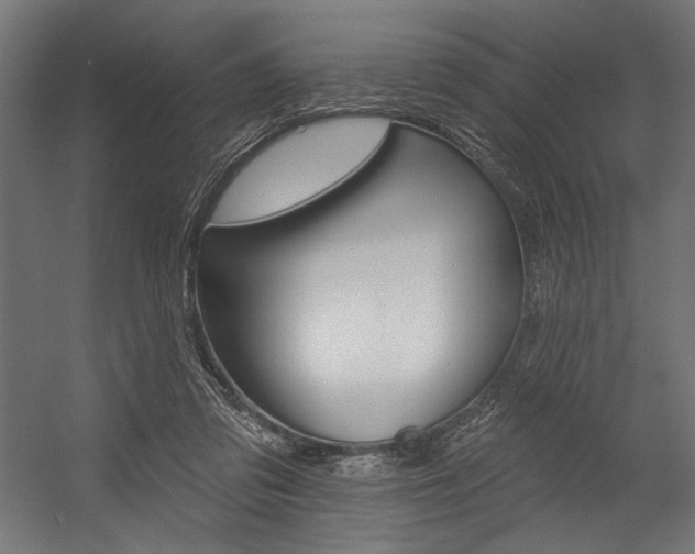 X0000054380309200507290904