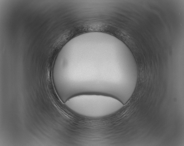 X0000054380310200507290904