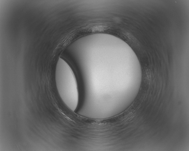 X0000054380311200507290904