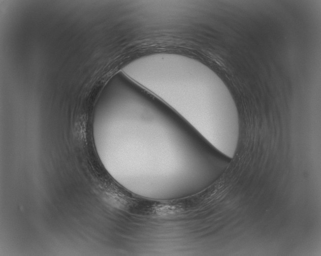 X0000054380315200507290904