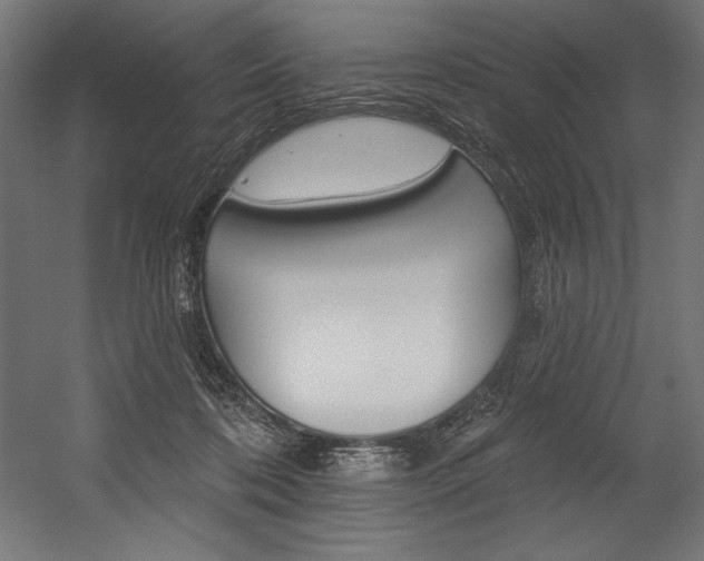 X0000054380316200507290904