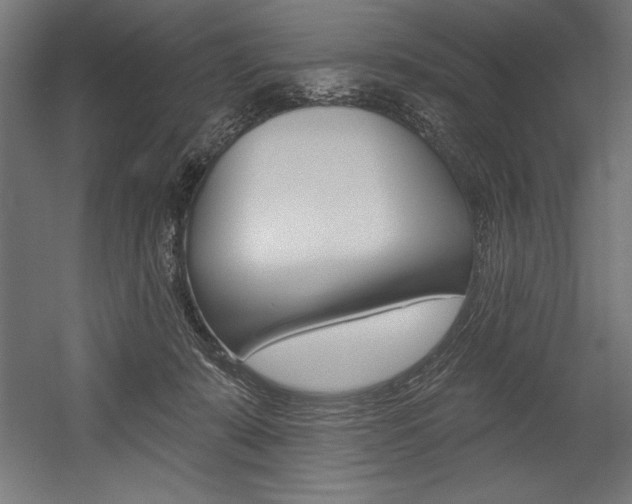 X0000054380319200507290903