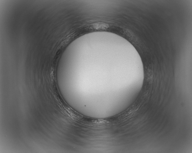 X0000054380321200507290903