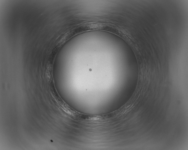 X0000054380325200507290903