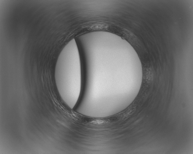 X0000054380326200507290903