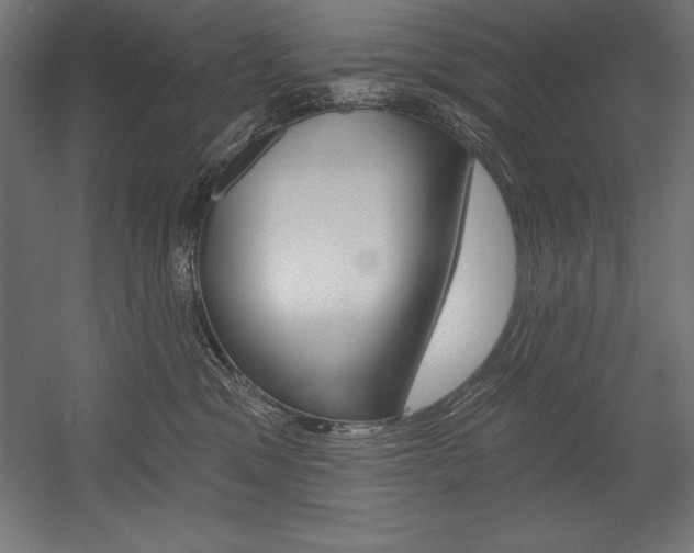 X0000054380329200507290903