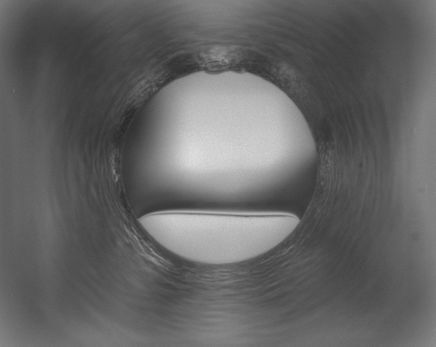 X0000054380331200507290903