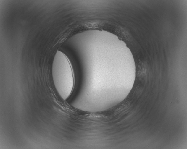 X0000054380332200507290903