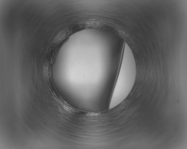 X0000054380333200507290903