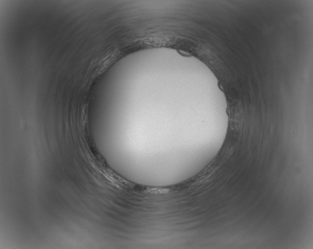 X0000054380334200507290903