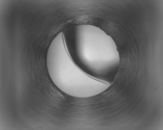 X0000054380335200507290903
