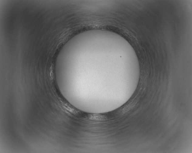 X0000054380336200507290903