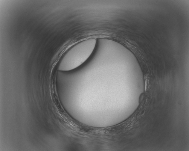 X0000054380339200507290902
